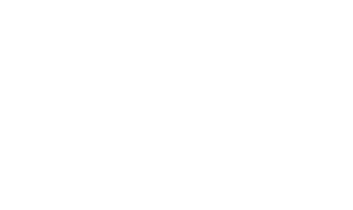 Pittsburgh International Airport Logo